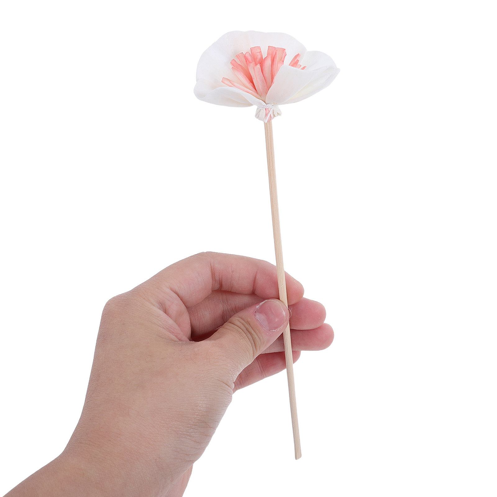 10 قطع من أعواد نشر الزيوت الع - مراجعة Home Fragrance For Diffuser وسعره