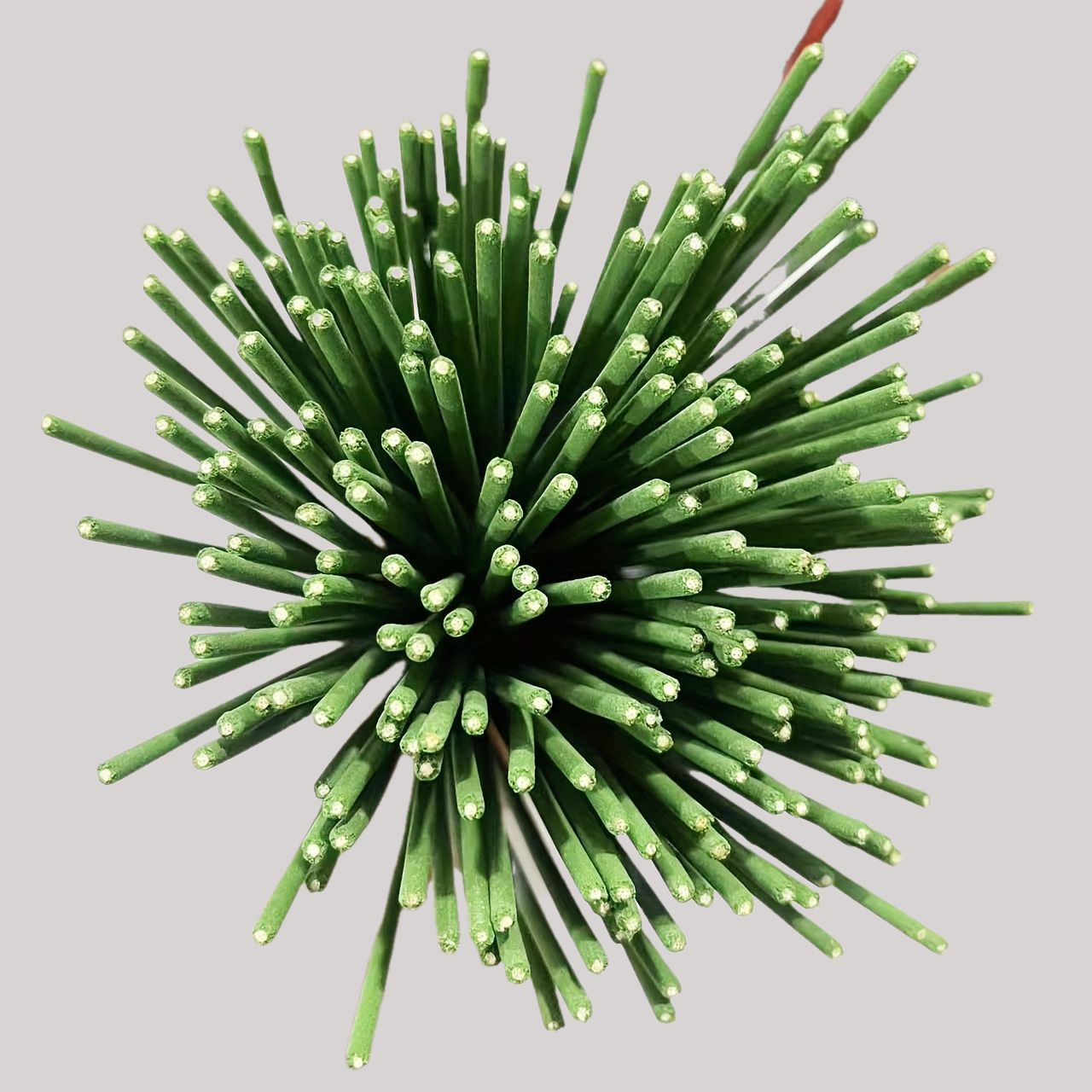 ريد الناشر العصي عشبة الليمون  - مراجعة Home Fragrance Reeds وسعره